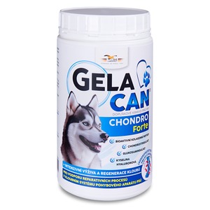 Gelacan Chondro Forte 500 g Gelacan Chondro Forte 500 g