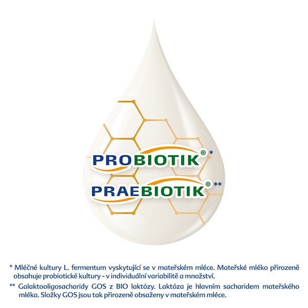 Hipp 2 Bio Combiotik Pokračovací kojenecké mléko 4x600 g
