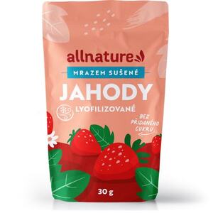Allnature Jahody sušené mrazem 30 g Allnature Jahody sušené mrazem 30 g
