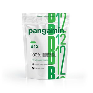 Pangamin B12 200 tablet Pangamin B12 200 tablet