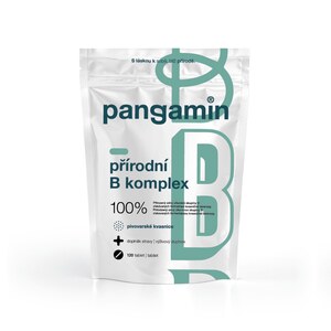 Pangamin Přírodní B komplex 120 tablet