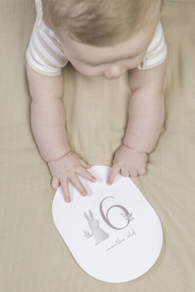 Little Dutch Baby Bunny Karty s věkem Little Dutch Baby Bunny Karty s věkem