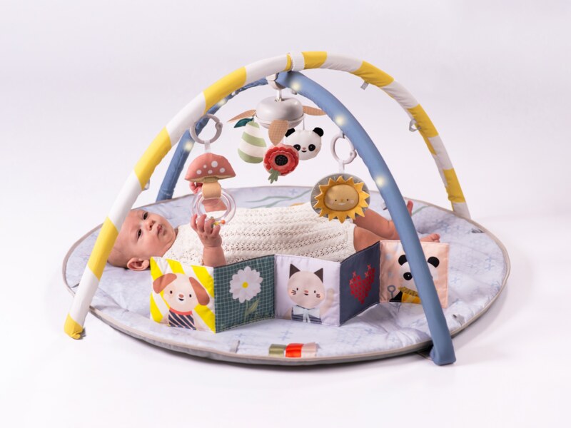 Taf Toys Bloom hrací deka s hrazdou Taf Toys Bloom hrací deka s hrazdou
