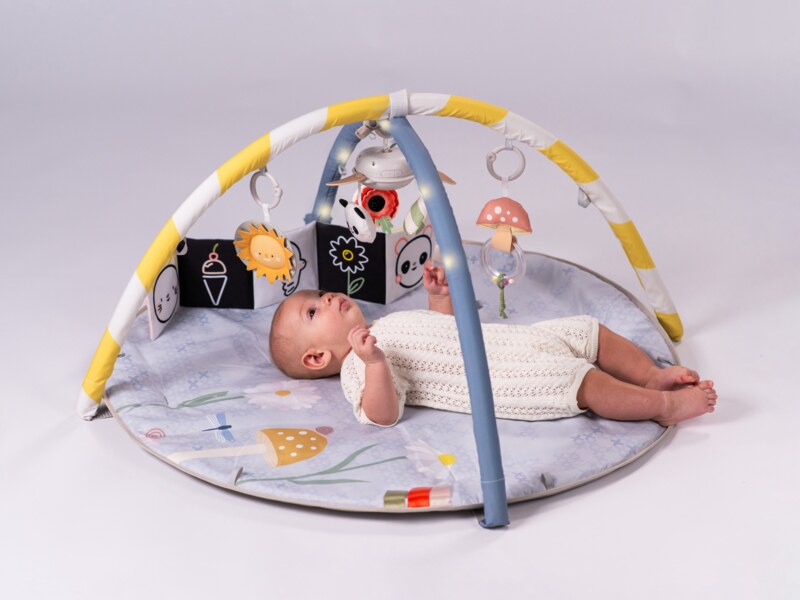 Taf Toys Bloom hrací deka s hrazdou Taf Toys Bloom hrací deka s hrazdou