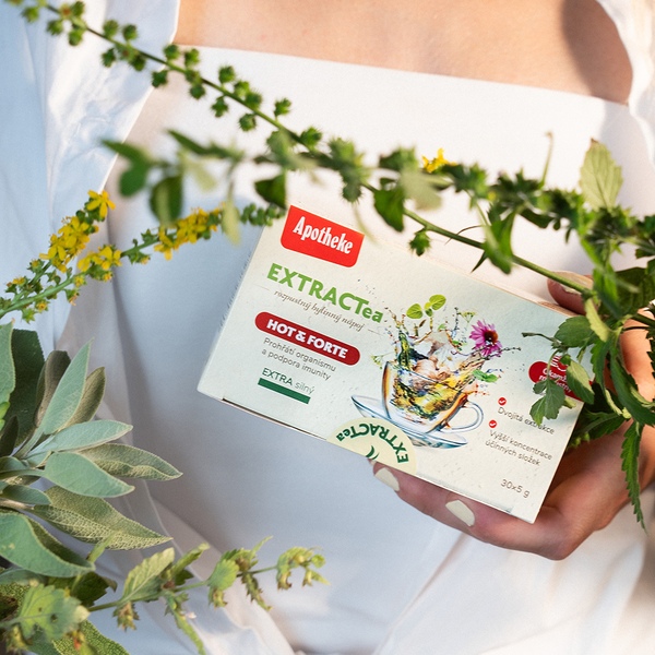 Apotheke Extractea Hot & Forte nálevové sáčky 30x5 g