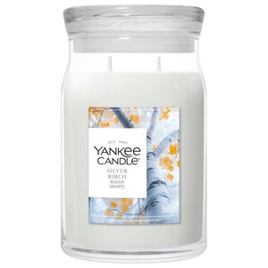 Yankee Candle Signature svíčka velká 2 knoty Silver Birch 567 g Yankee Candle Signature svíčka velká 2 knoty Silver Birch 567 g
