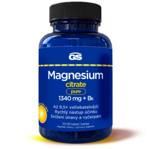 GS Magnesium Citrate Pure 1340 mg + B6 100 tablet