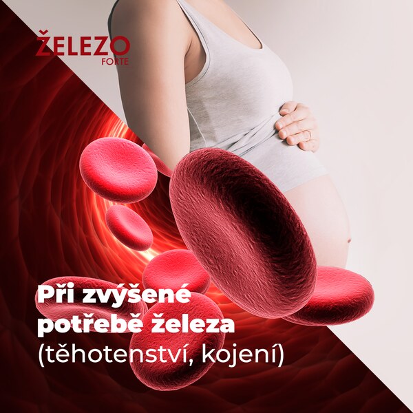 Železo Forte 45 tablet