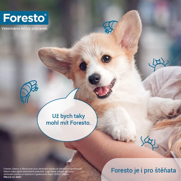 Foresto 1,25 g + 0,56 g obojek pro kočky a psy do 8 kg