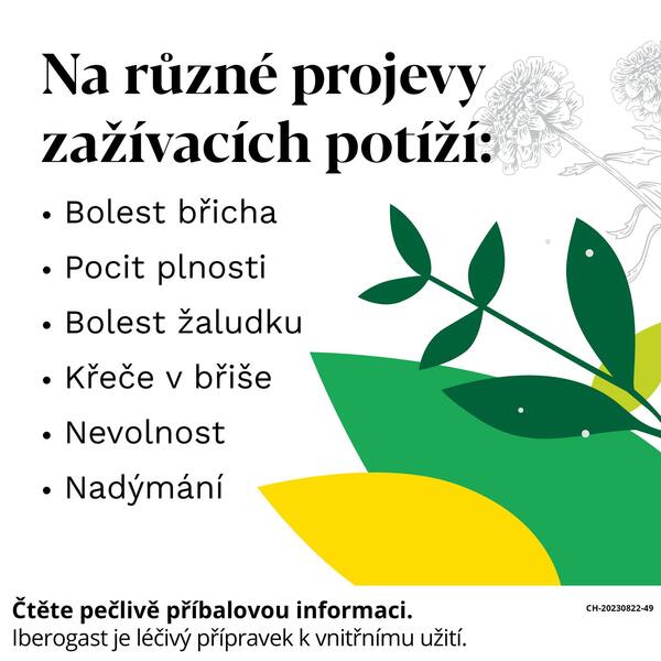 Iberogast kapky 100 ml Iberogast kapky 100 ml