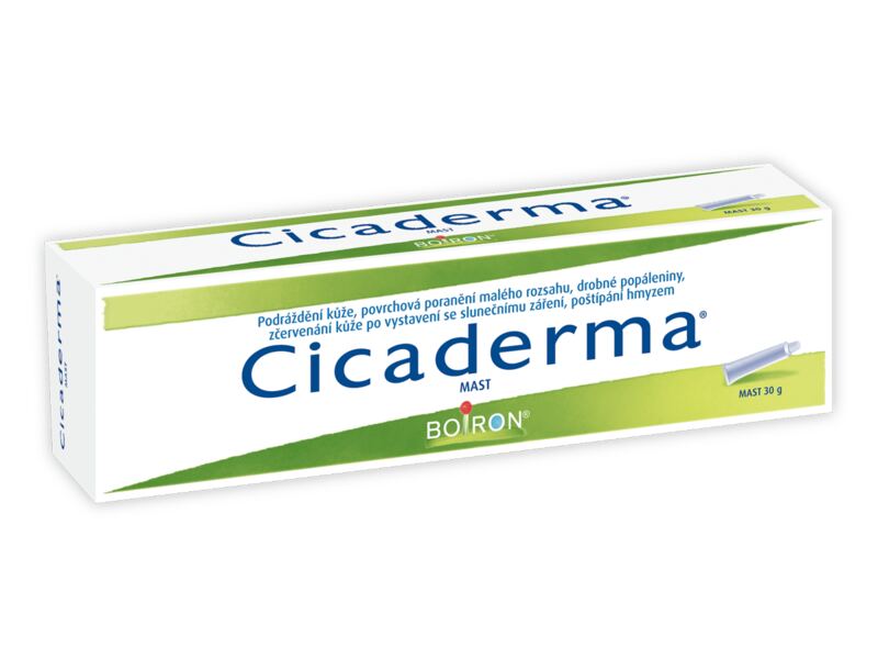 Cicaderma mast 30 g Cicaderma mast 30 g