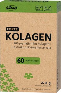 Vitar Kolagen Forte EKO 60 kapslí Vitar Kolagen Forte EKO 60 kapslí