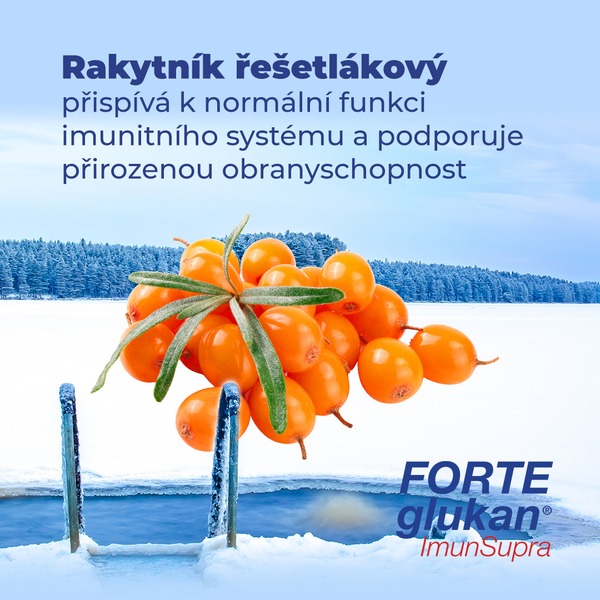 FORTEglukan® ImunSupra 60 tablet Vánoční edice 1+1 ZDARMA FORTEglukan® ImunSupra 60 tablet Vánoční edice 1+1 ZDARMA