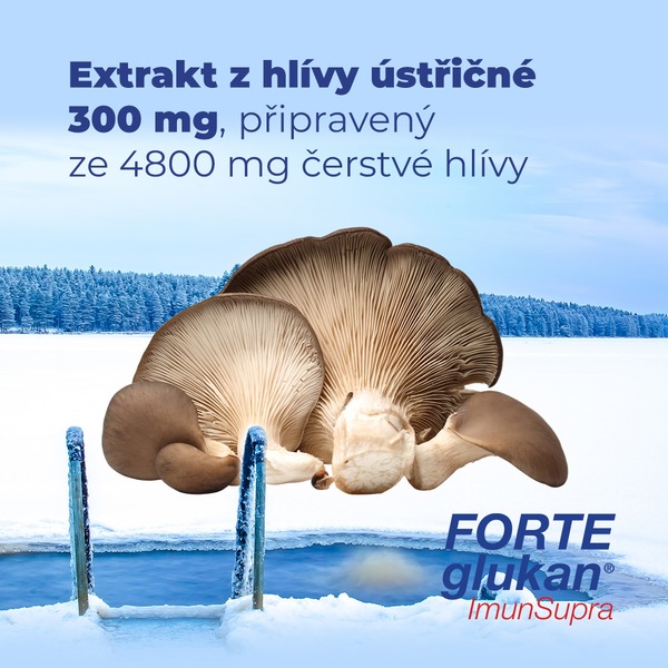 FORTEglukan® ImunSupra 60 tablet Vánoční edice 1+1 ZDARMA FORTEglukan® ImunSupra 60 tablet Vánoční edice 1+1 ZDARMA