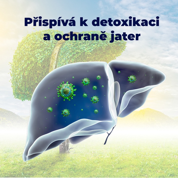 Premium Silymarin Forte 60 tablet  1+1 ZDARMA