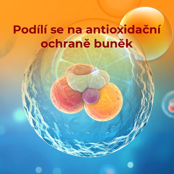 Premium Vitamin C Duo 500 mg 60 kapslí 1+1 ZDARMA Premium Vitamin C Duo 500 mg 60 kapslí 1+1 ZDARMA