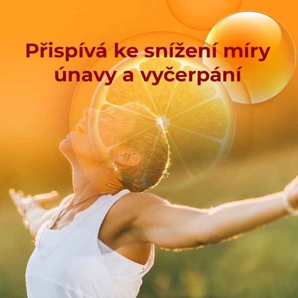 Premium Vitamin C Duo 500 mg 60 kapslí 1+1 ZDARMA Premium Vitamin C Duo 500 mg 60 kapslí 1+1 ZDARMA