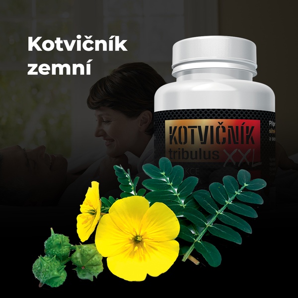 Kotvičník tribulus XXL 60 kapslí