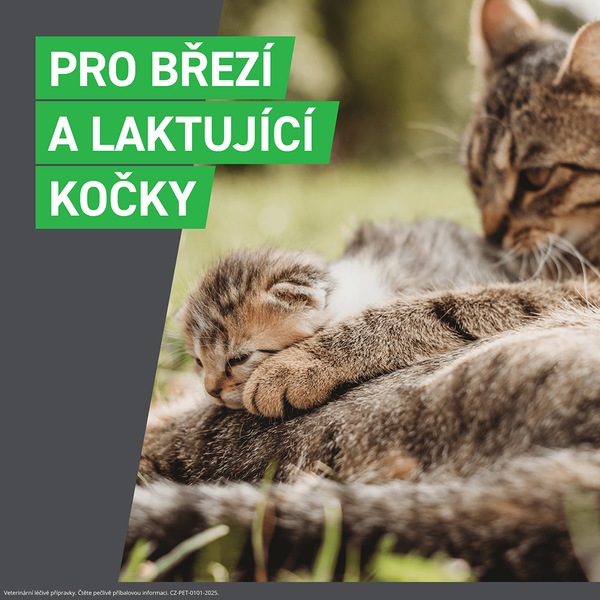 Frontline Combo spot-on pro kočky a fretky 0,5 ml 3 pipety