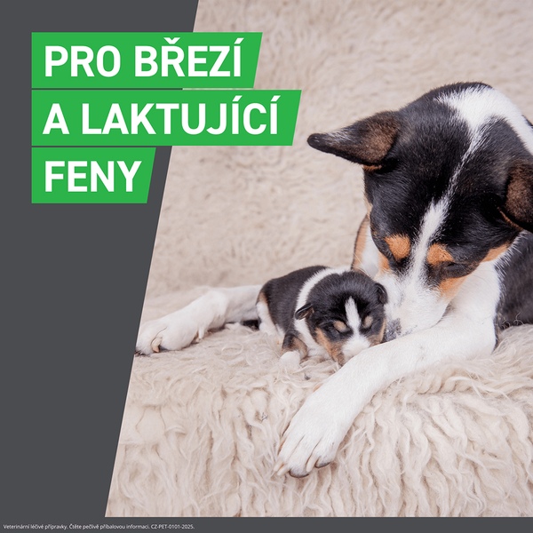 Frontline Combo spot-on pro psy M (10-20 kg) 1,34 ml 3 pipety