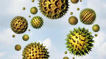 Na alergie - Na alergie Na alergie