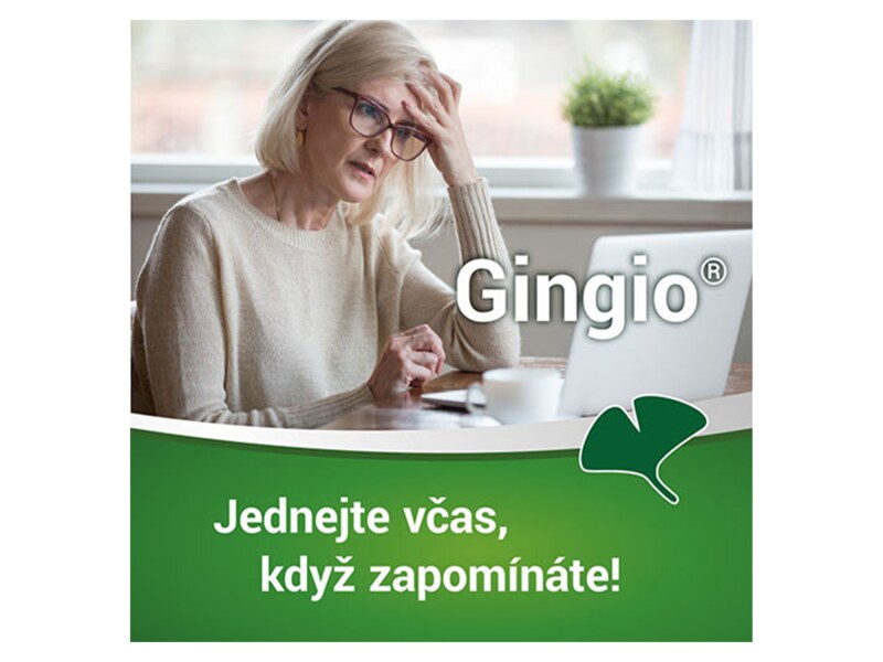 Gingio 40 mg 100 potahovaných tablet