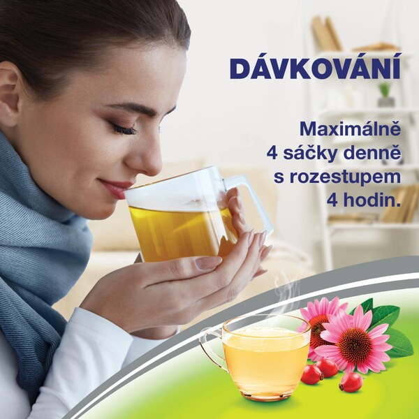 Paralen Grip Horký nápoj echinacea a šípky 12 sáčků