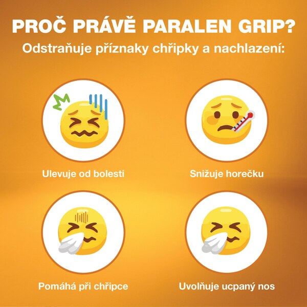 Paralen Grip Horký nápoj echinacea a šípky 12 sáčků