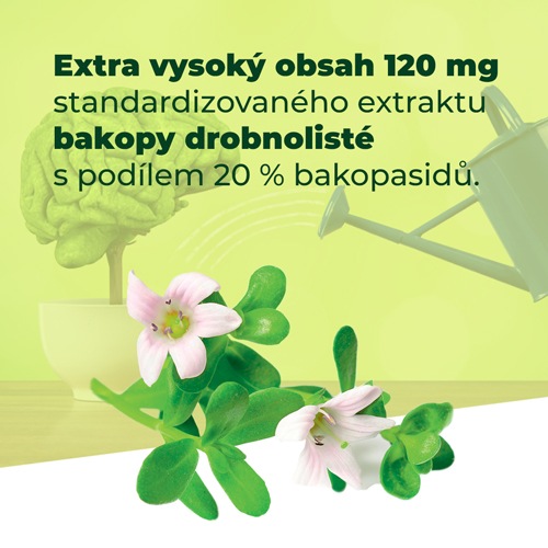 Ginkgo Brainaktiv 60 tablet