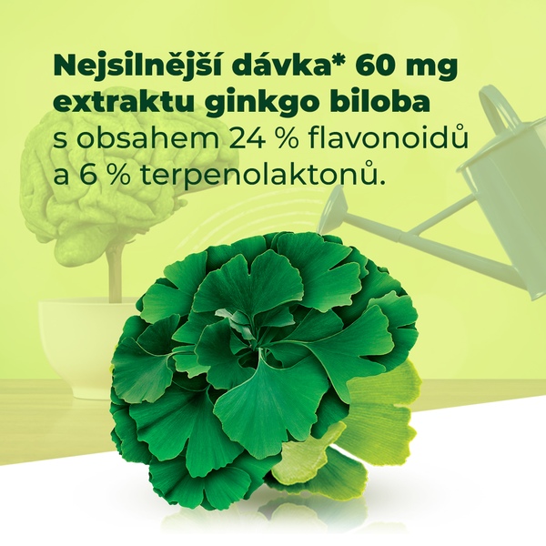Ginkgo Brainaktiv 60 tablet