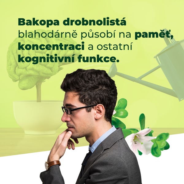 Ginkgo Brainaktiv 60 tablet