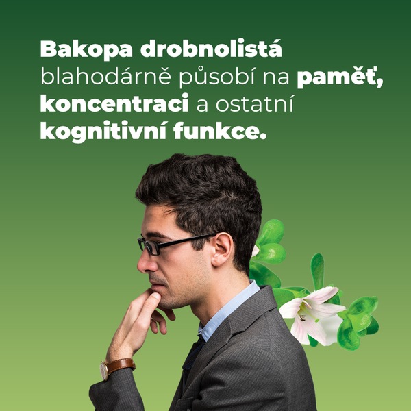 Ginkgo Brainaktiv 60 tablet