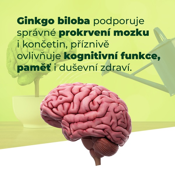 Ginkgo Brainaktiv 60 tablet