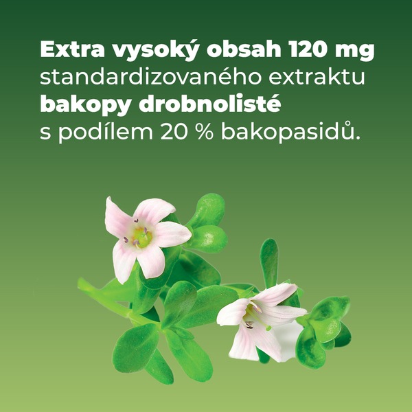 Ginkgo Brainaktiv 60 tablet Ginkgo Brainaktiv 60 tablet