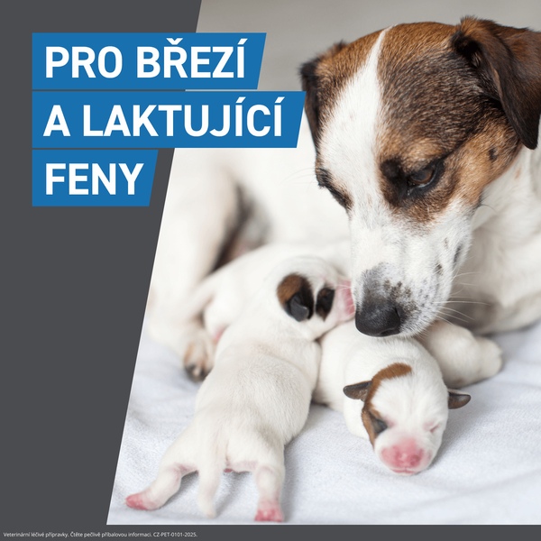 Frontline spot-on pro psy L (20-40 kg) 2,68 ml 3 pipety