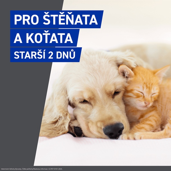 Frontline Spray 2,5 mg/ml kožní sprej roztok 250 ml 