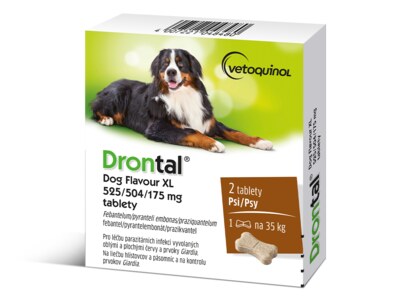 Drontal Dog Flavour XL 525/504/175 mg 2 tablety