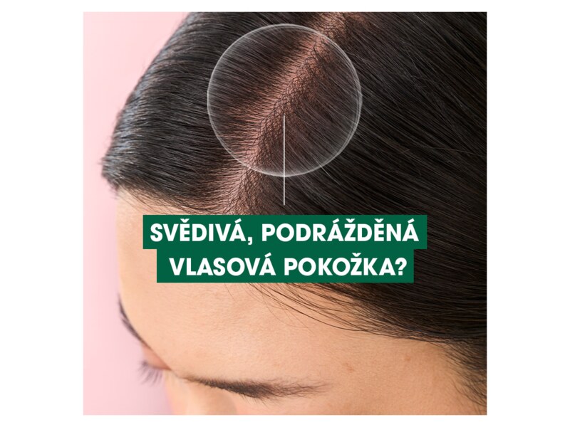 Klorane Šampon s BIO pivoňkou 400 ml