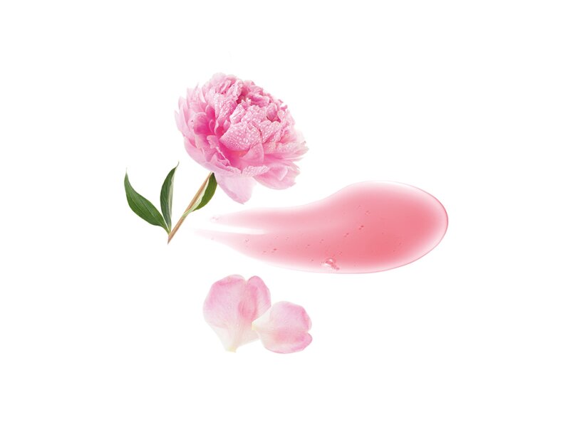 Klorane Šampon s BIO pivoňkou 400 ml