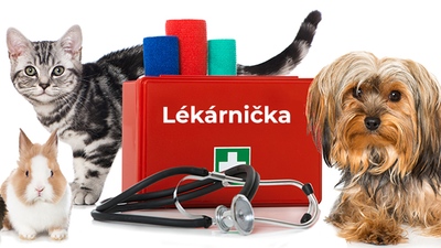 Jak vybavit lékárničku pro domácí mazlíčky?