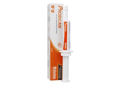 Probican Probiotická pasta 15 ml Probican Probiotická pasta 15 ml