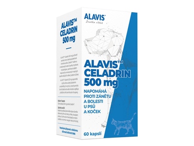 Alavis Celadrin 60 tablet
