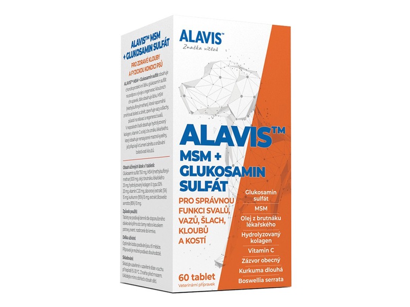 Alavis MSM + Glukosamin sulfát 60 tablet