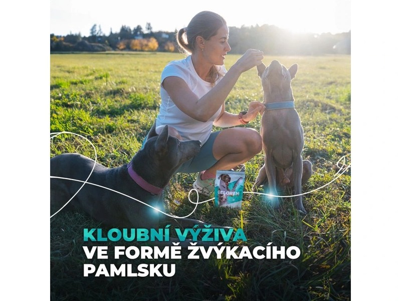 Geloren Dog S-M kloubní výživa pro malé psy 180 g 60 želé