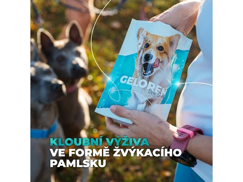 Geloren Dog S-M kloubní výživa pro malé psy 180 g 60 želé