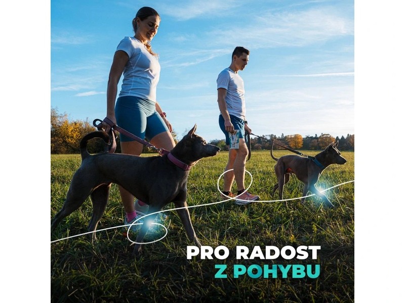Geloren Dog L-XL kloubní výživa pro velké psy 420 g 60 želé