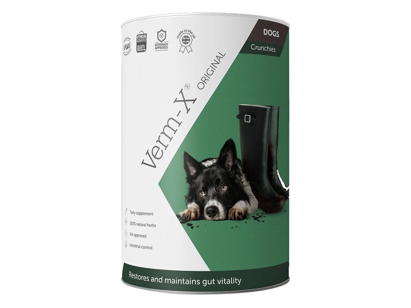 Verm-X Přírodní granule proti střevním parazitům pro psy 100 g Verm-X Přírodní granule proti střevním parazitům pro psy 100 g