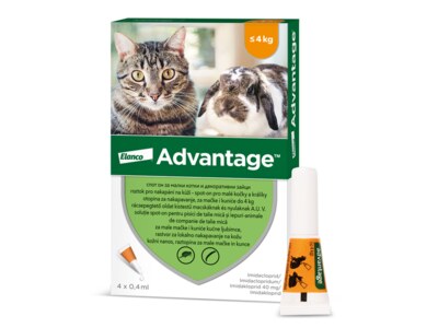 Advantage Spot-on pro malé kočky a králíky 40 mg 4x0,4 ml Advantage Spot-on pro malé kočky a králíky 40 mg 4x0,4 ml