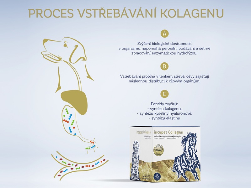 Incapet Collagen 30x3 g