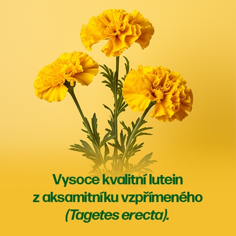 Walmark Lutein Plus 90+30 tobolek NAVÍC Walmark Lutein Plus 90+30 tobolek NAVÍC